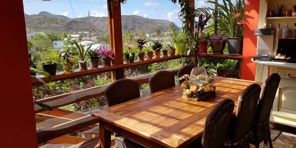 Papaya Inn